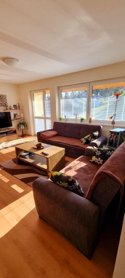 Mountain Village Apartment Pinewood *** Vyšné Ružbachy Екстериор снимка