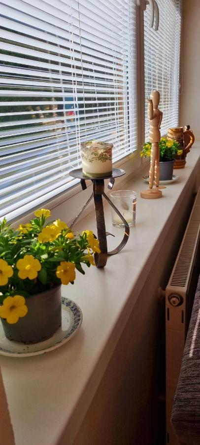 Mountain Village Apartment Pinewood *** Vyšné Ružbachy Екстериор снимка